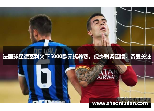 法国球星德塞利欠下5000欧元抚养费，现身财务困境，备受关注