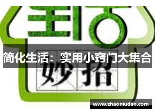 简化生活：实用小窍门大集合